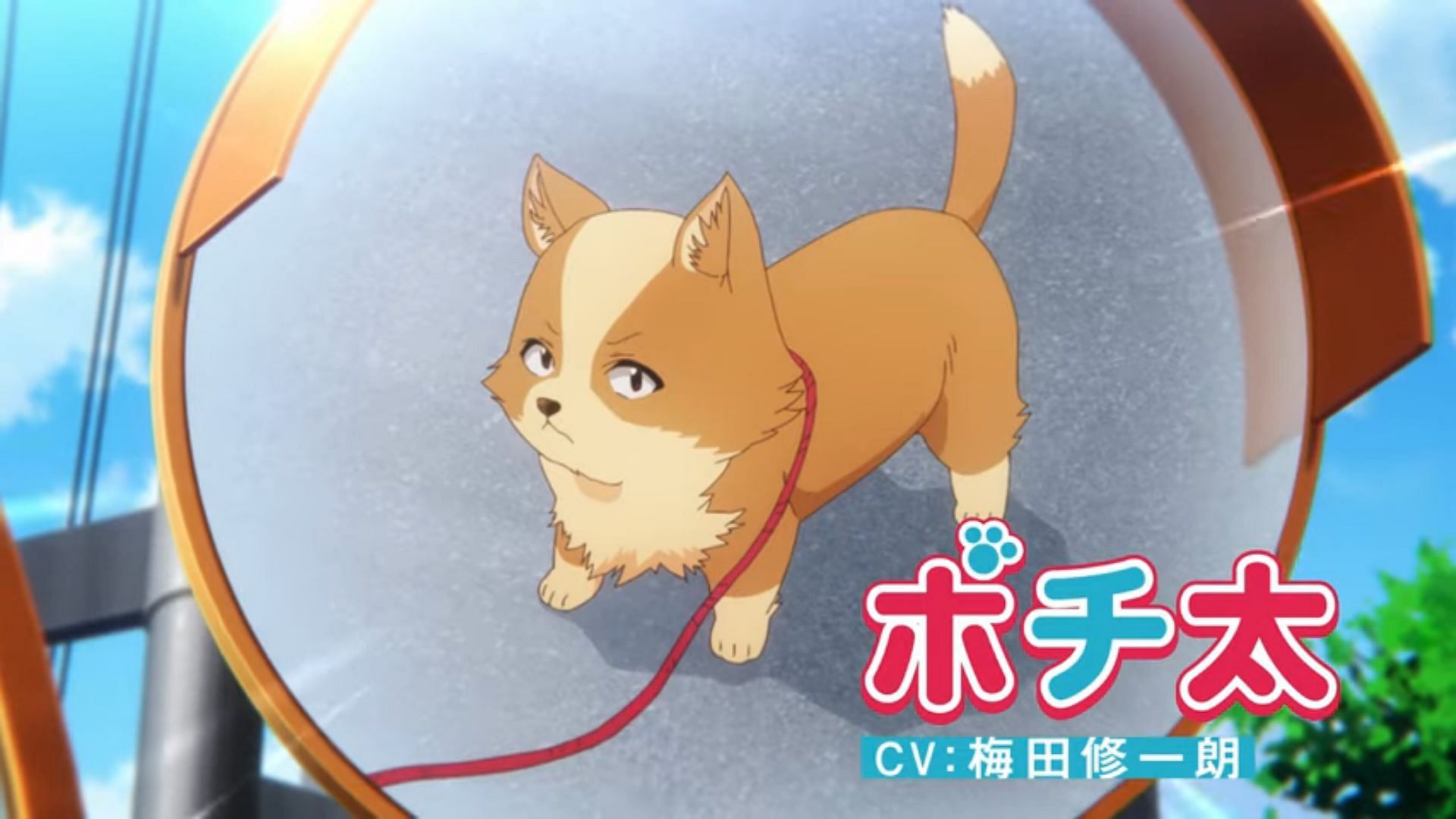 Watch The My Life as Inukaisans Dog Anime January 5 on HIDIVE