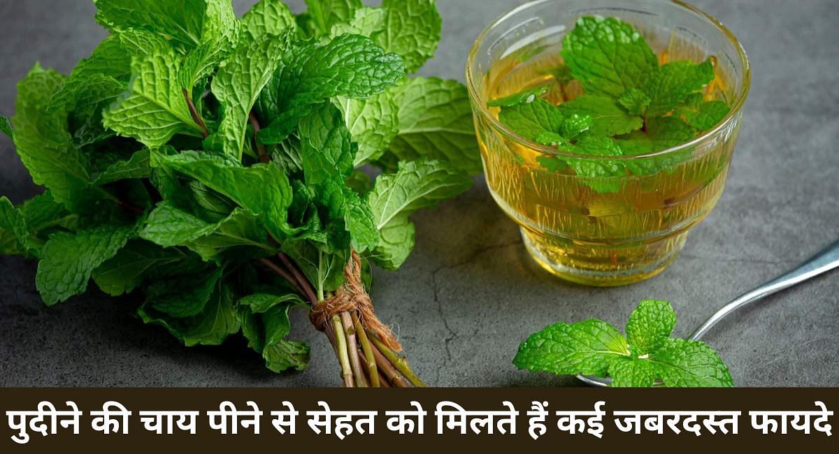 पुदीने की चाय पीने से सेहत को मिलते हैं कई जबरदस्त फायदे(फोटो-Sportskeeda hindi)