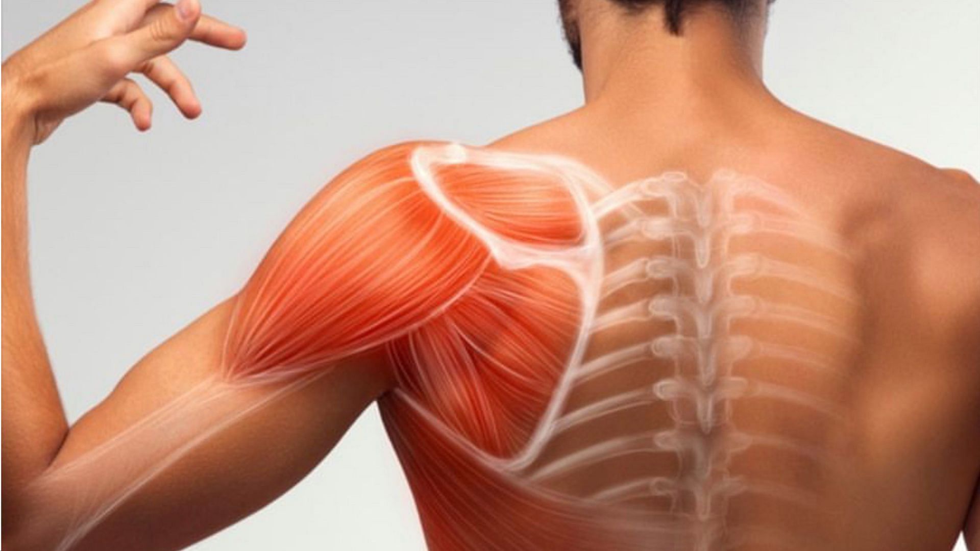 Rotator cuff pain What are the major causes and symptoms?