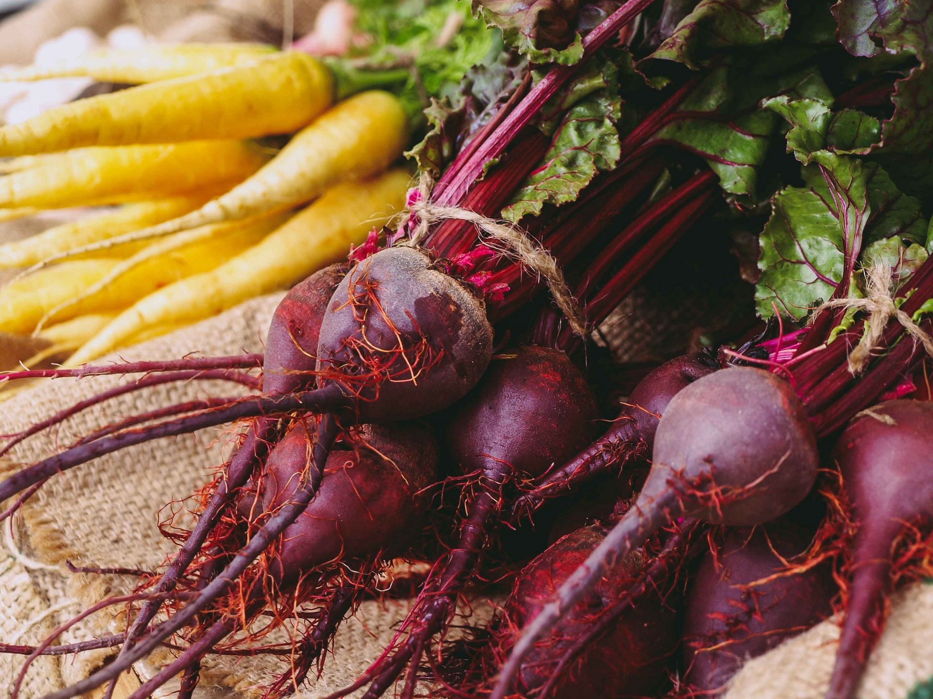 Are beets good for you? Health benefits and recipes