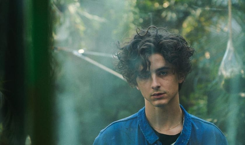 Timothée Chalamet Net Worth