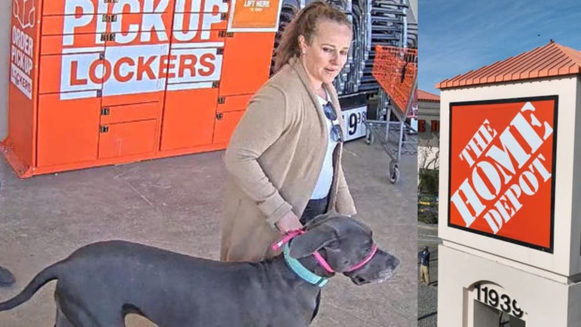"In the entitlement era" Dog bites Home Depot customer in the face