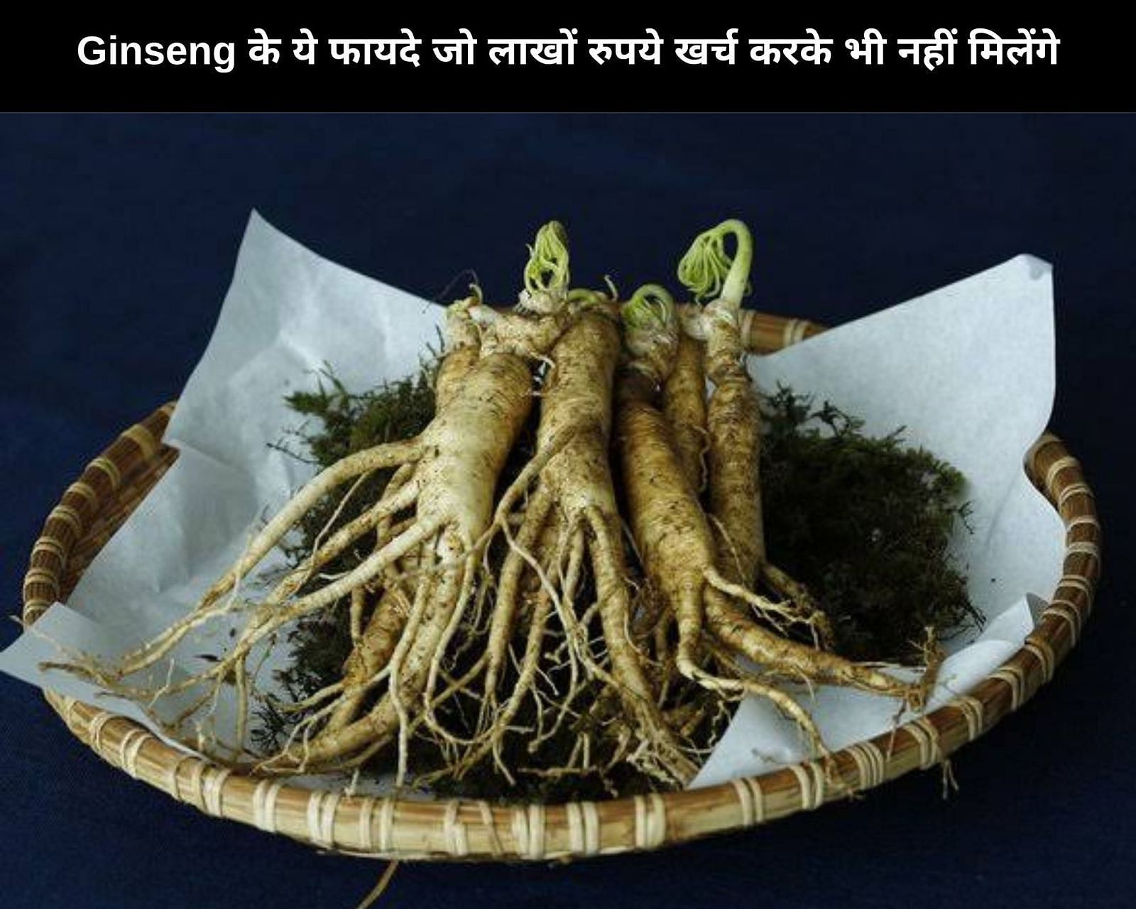 Ginseng के ये फायदे जो लाखों रुपये खर्च करके भी नहीं मिलेंगे (फोटो - sportskeedaहिन्दी)