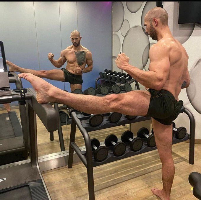 View image on Twitter