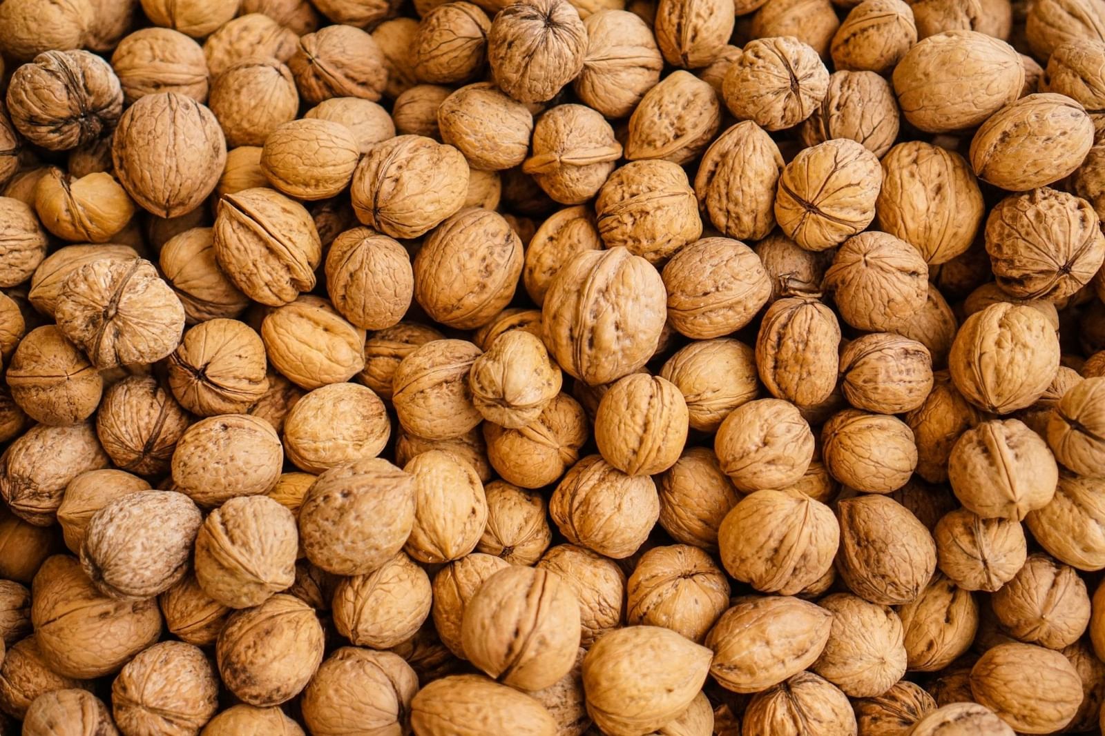 Are walnuts good for you? Amazing benefits that might surprise you