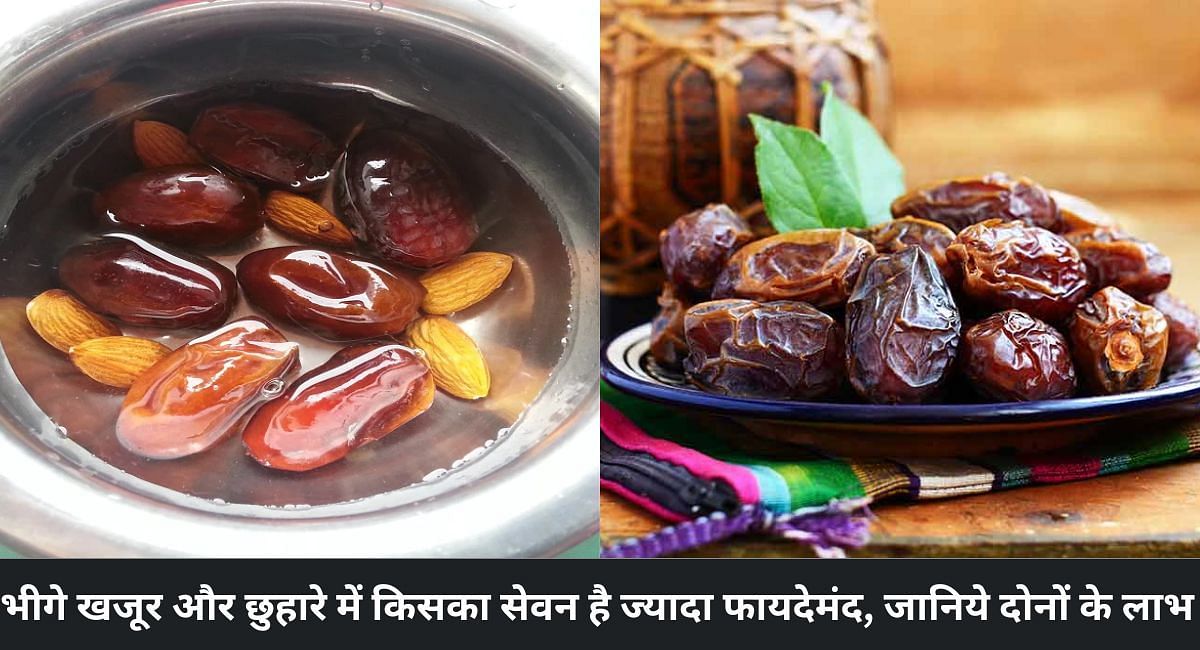भीगे खजूर और छुहारे में किसका सेवन है ज्यादा फायदेमंद, जानिये दोनों के लाभ 