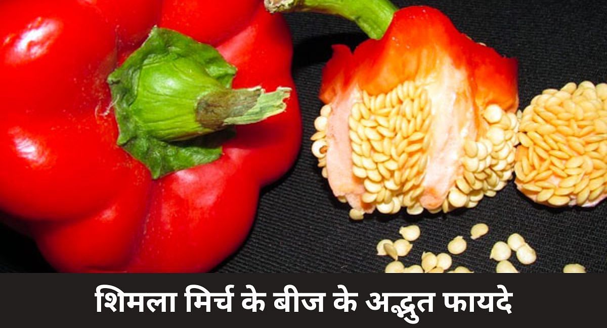 शिमला मिर्च के बीज के अद्भुत फायदे(फोटो-Sportskeeda hindi)