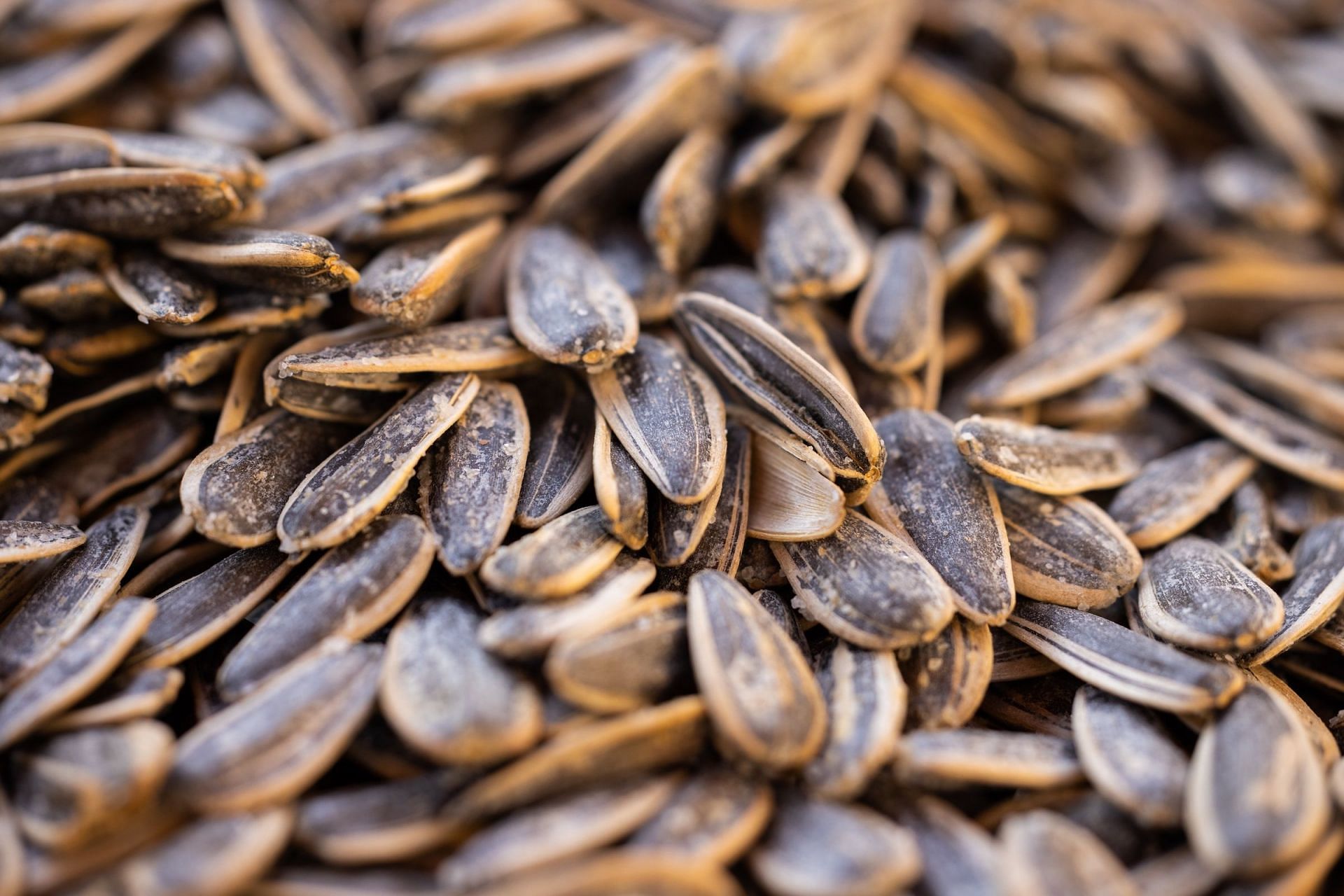 Are sunflower seeds healthy? Health benefits and more