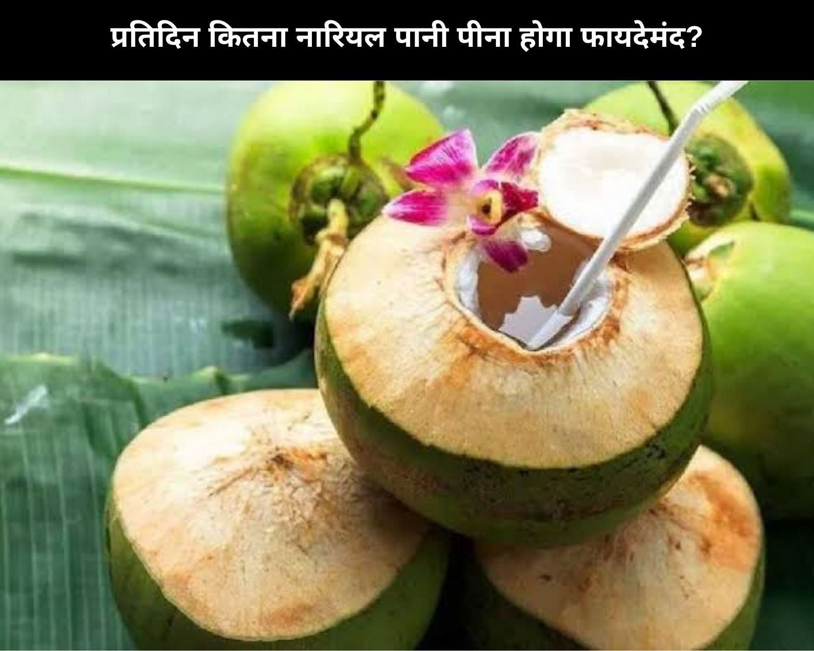 प्रतिदिन कितना नारियल पानी पीना होगा फायदेमंद? (फोटो - sportskeedaहिन्दी)