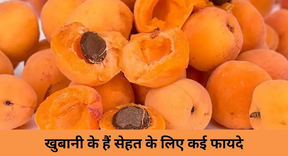 खुबानी के हैं सेहत के लिए कई फायदे