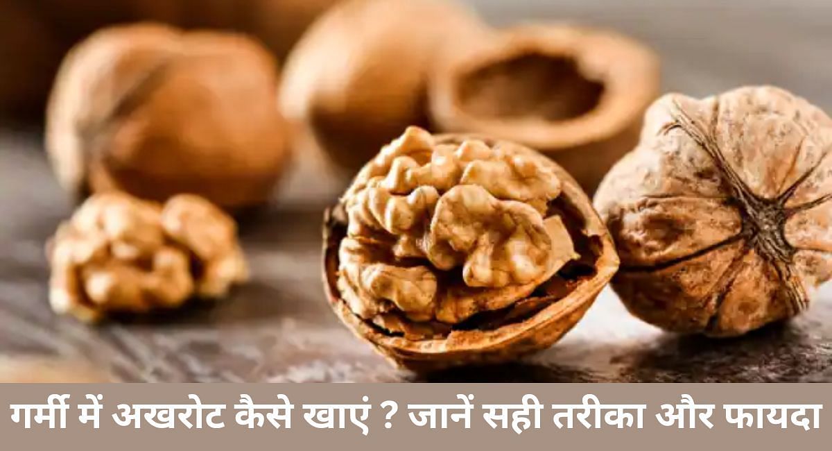 गर्मी में अखरोट कैसे खाएं ? जानें सही तरीका और फायदा(फोटो-Sportskeeda hindi)