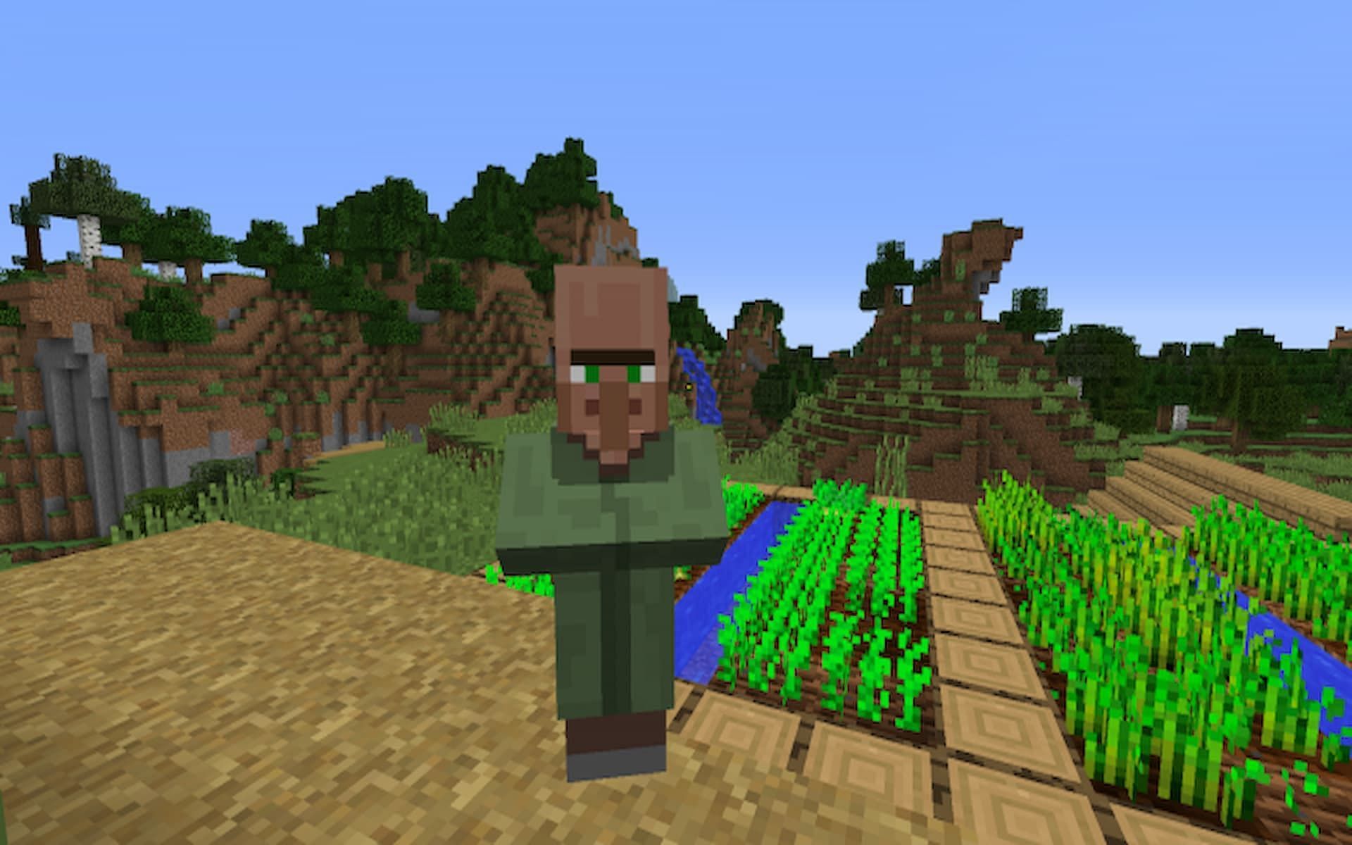 How To Use Nitwit Villagers In Minecraft