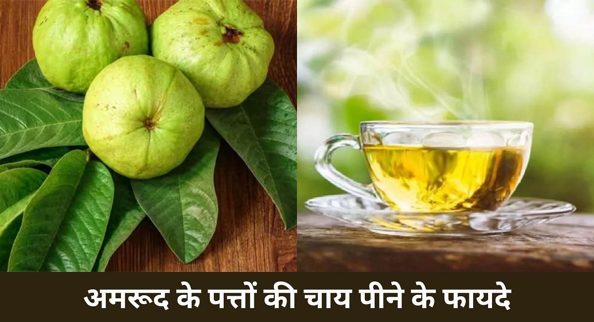 अमरूद के पत्तों की चाय पीने के फायदे(फोटो-Sportskeeda hindi)