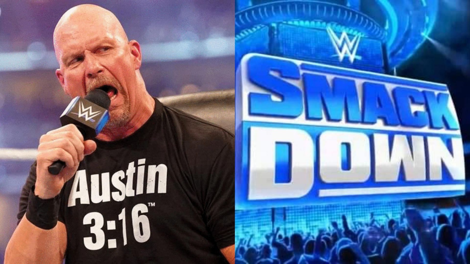 WWE Smackdown, Stone Cold Steve Austin: WWE SmackDown star 