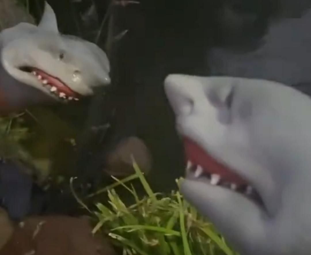 The Shark Puppet Net Worth