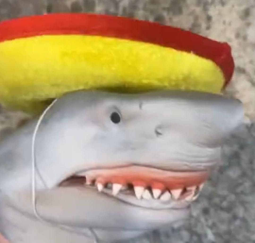 The Shark Puppet Net Worth