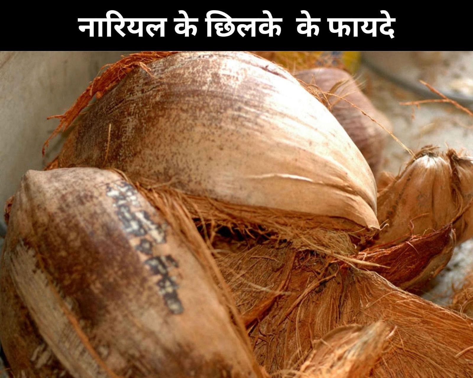 नारियल के छिलके &zwnj;के फायदे (sportskeeda Hindi) 