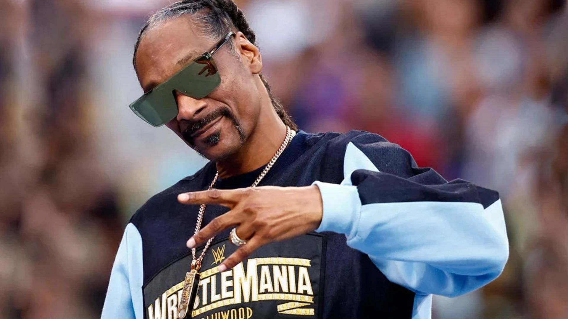 WATCH: Fan footage catches surprising WWE employee instructing Snoop ...