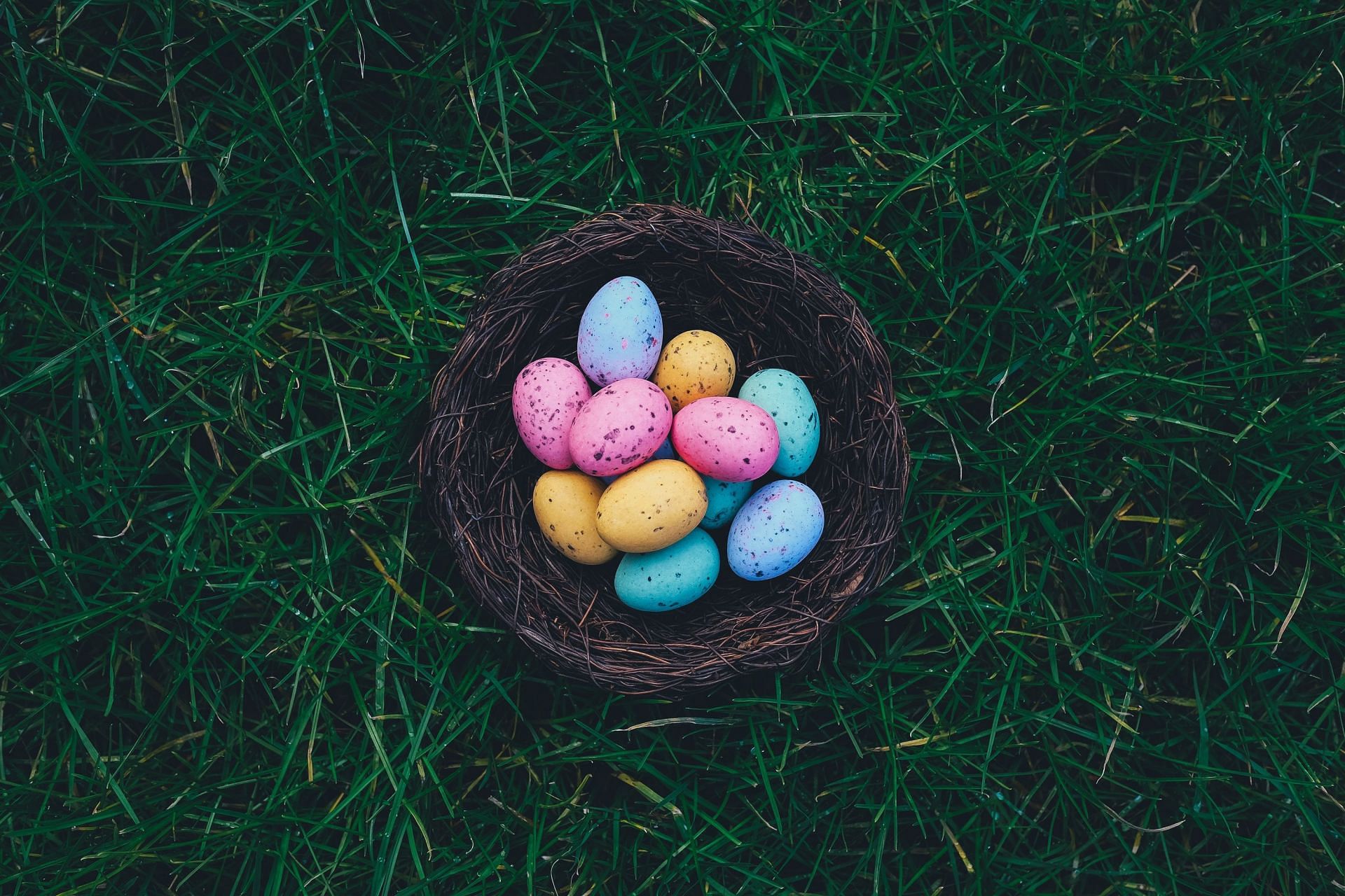Coloring the easter eggs has been an age-old tradition. (Image via unsplash / annie spratt)