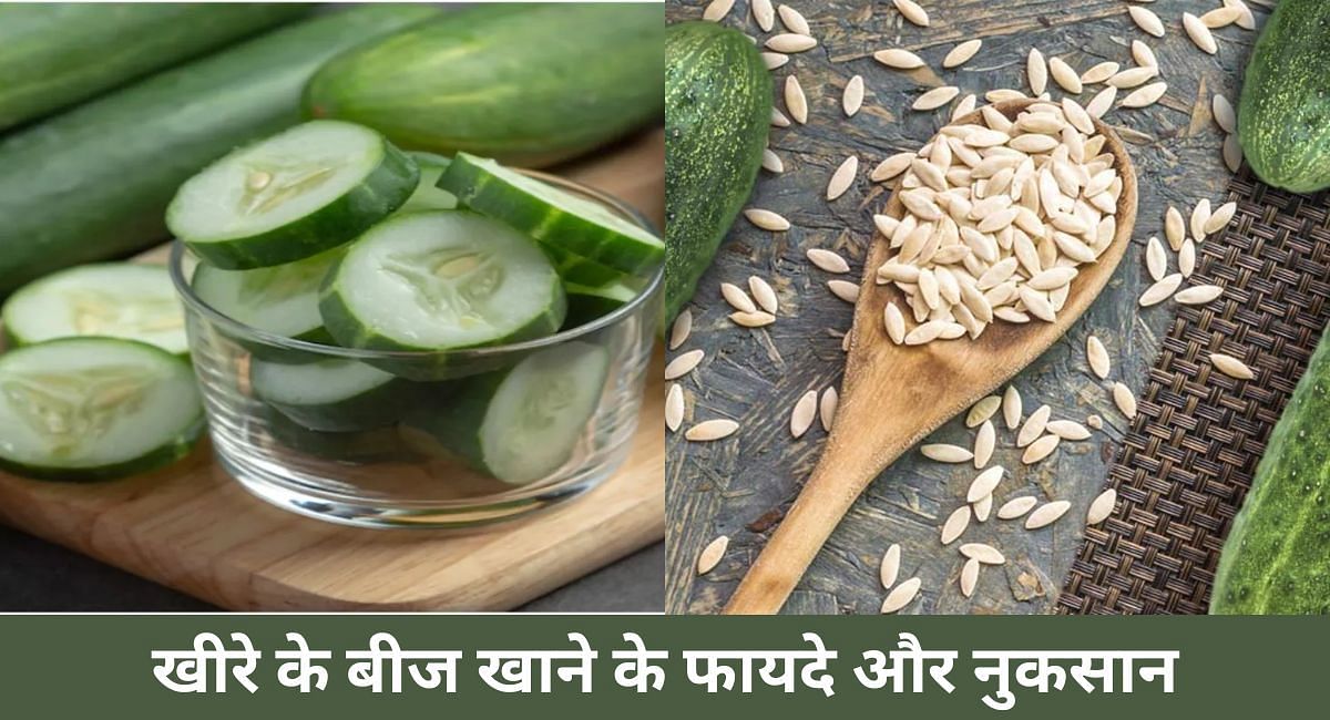 खीरे के बीज खाने के फायदे और नुकसान(फोटो-Sportskeeda hindi)
