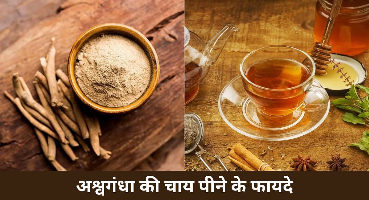 अश्वगंधा की चाय पीने के फायदे(फोटो-Sportskeeda hindi)
