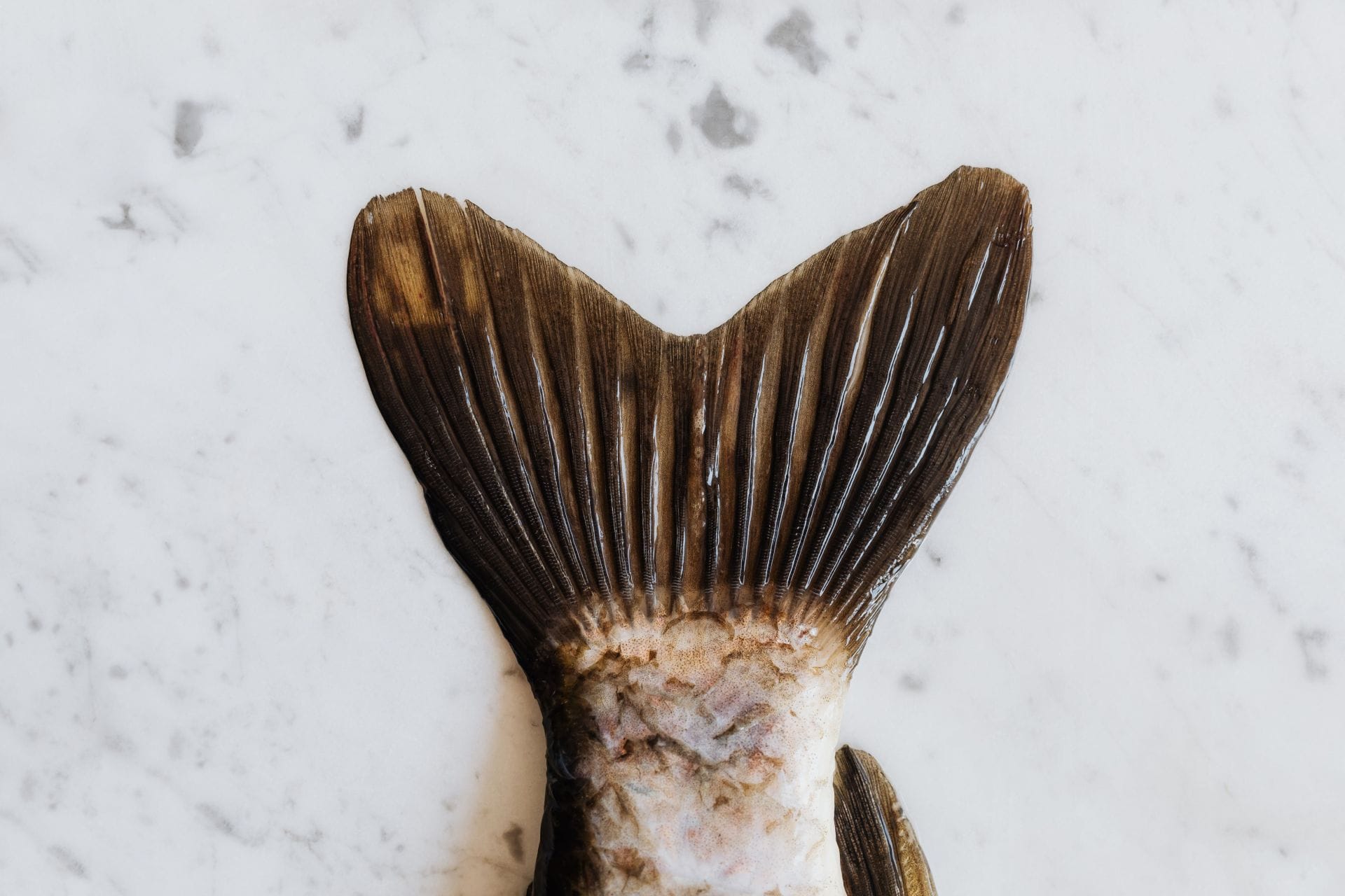 Is Mahi Mahi Healthy? Everything You Need to Know