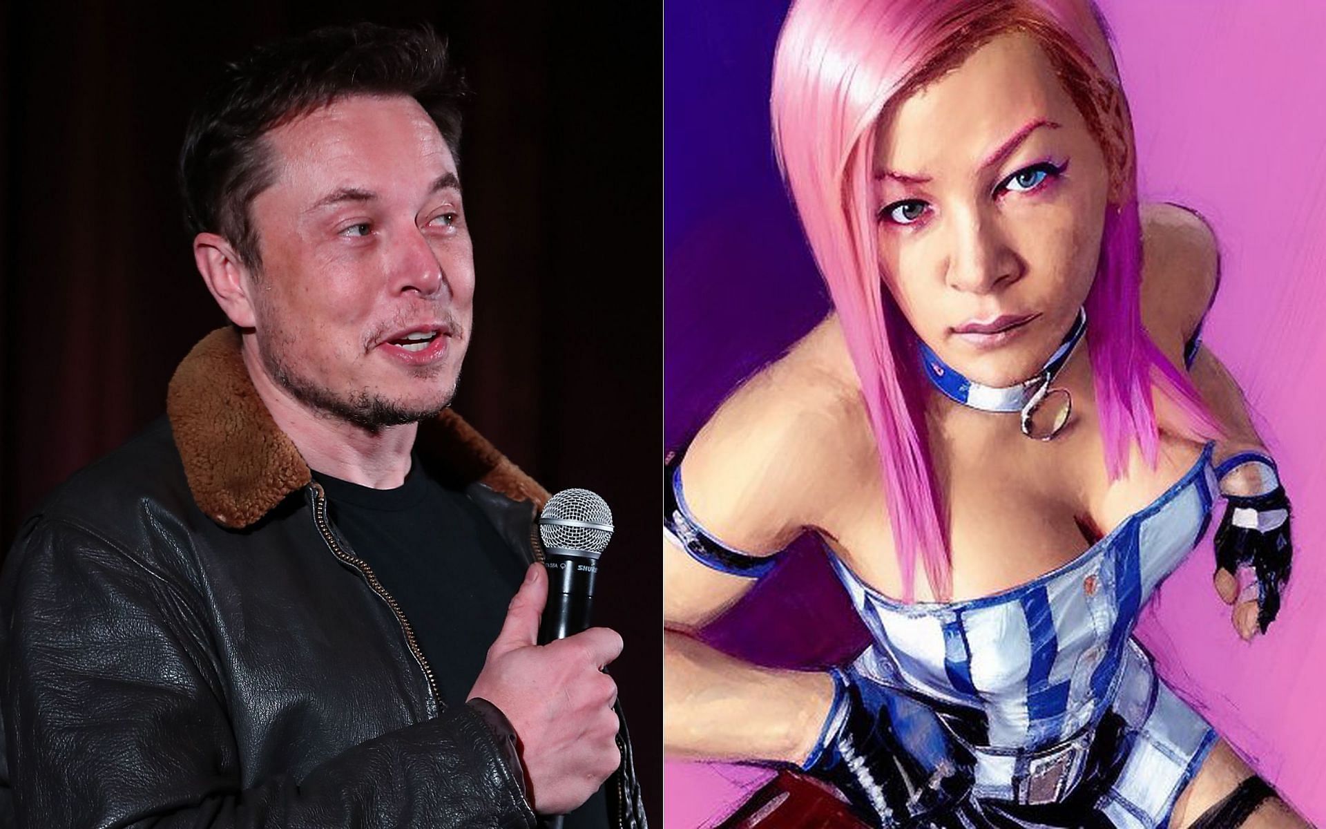 Elon Musk: What did Elon Musk say about Fallon Fox, transgender MMA