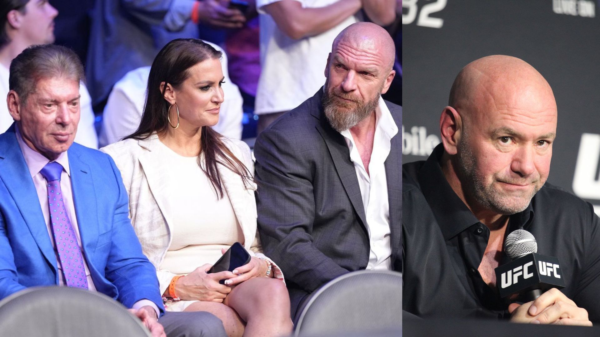 WWE UFC merger What is Vince McMahon's role in the new company?