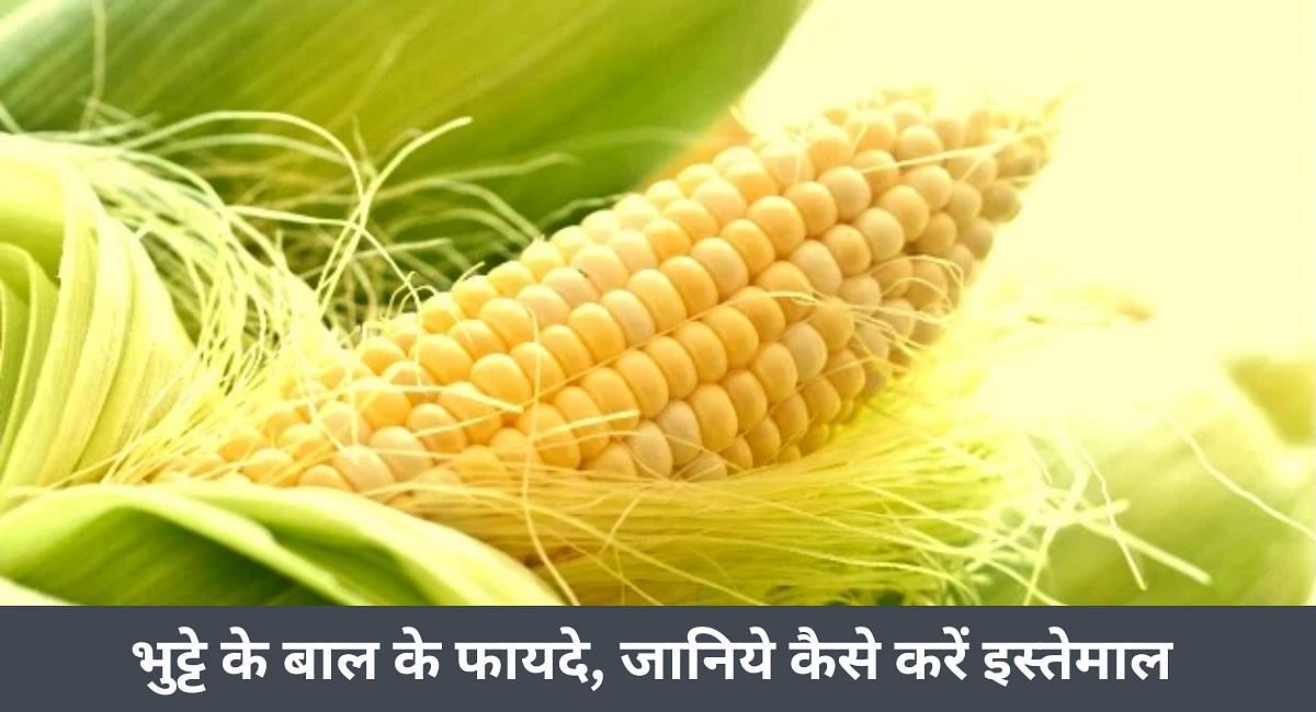 भुट्टे के बाल के फायदे, जानिये कैसे करें इस्तेमाल 