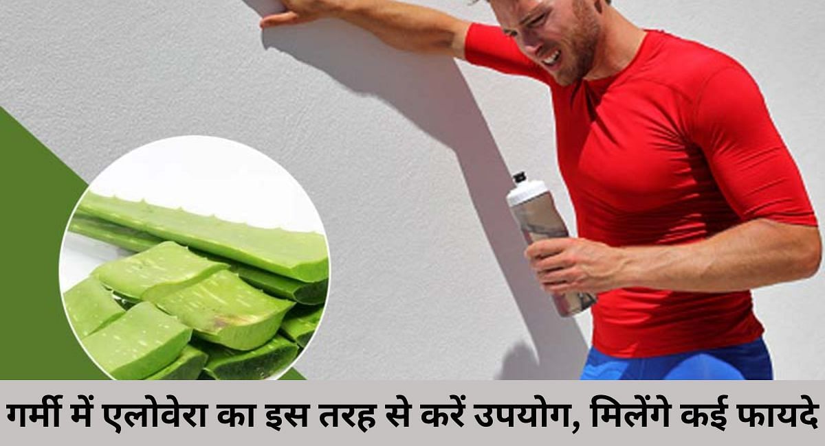 गर्मी में एलोवेरा का इस तरह से करें उपयोग, मिलेंगे कई फायदे