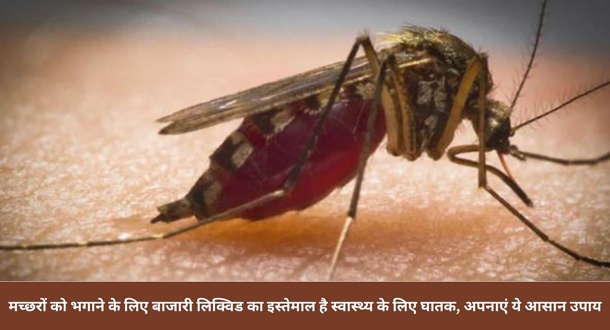 मच्छरों को भगाने के लिए बाजारी लिक्विड का इस्तेमाल है स्वास्थ्य के लिए घातक, अपनाएं ये आसान उपाय 