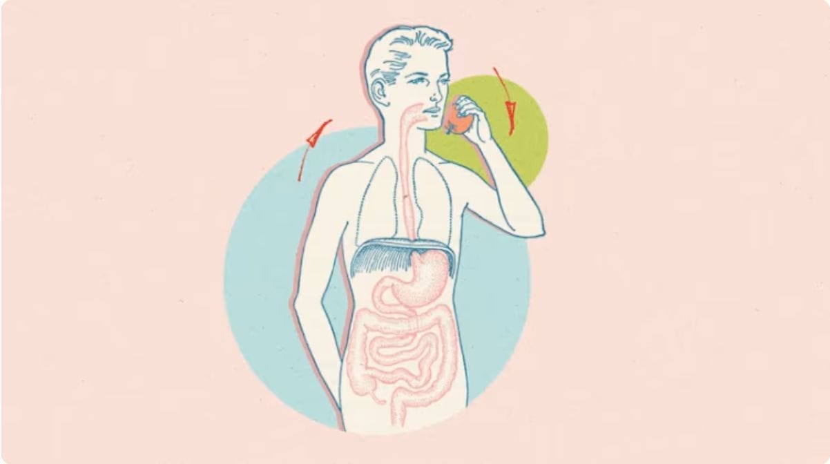 eating disorder Rumination syndrome demystifying this rare feeding