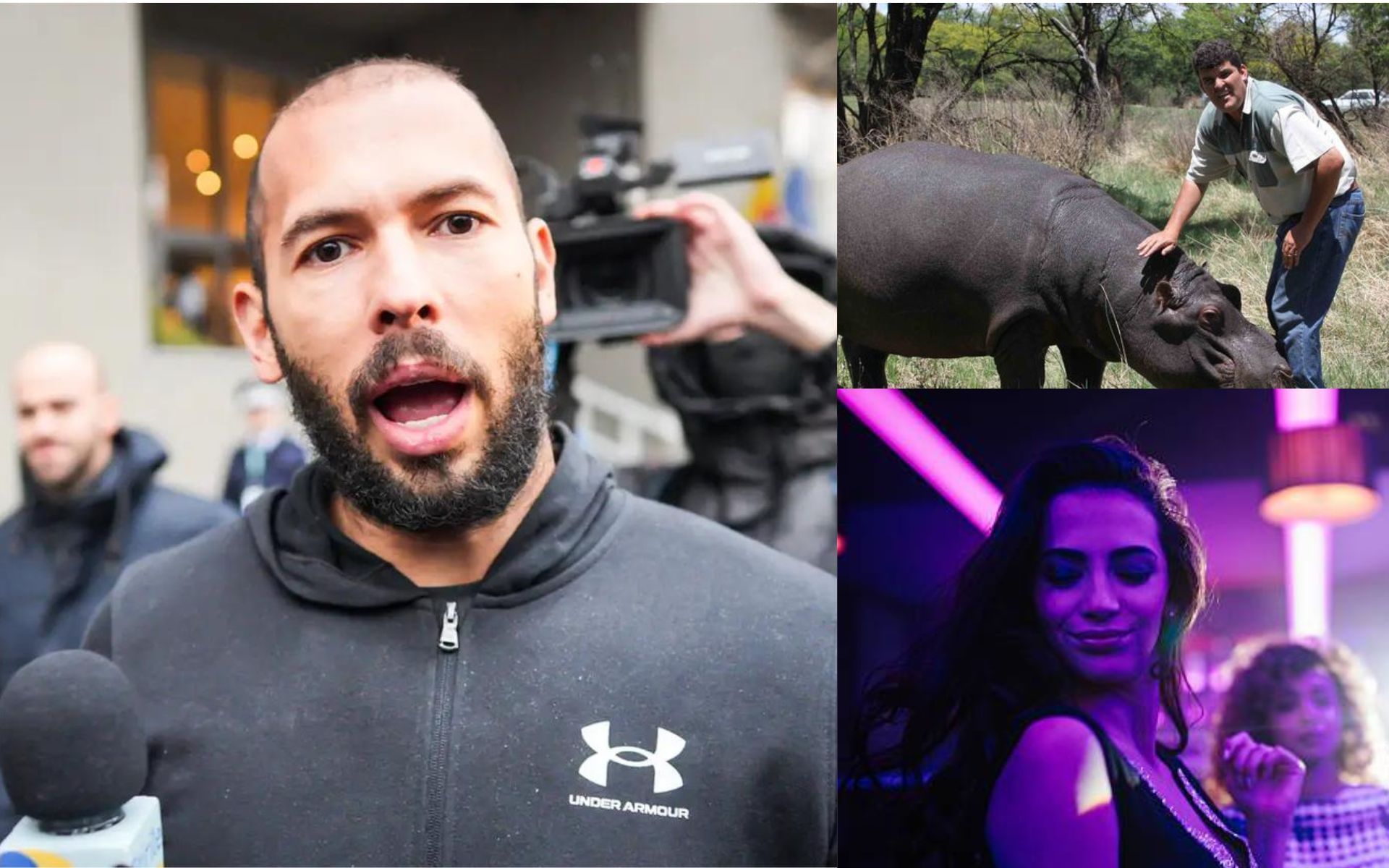 Andrew Tate hilariously compares backstabbing rescue Hippo to a