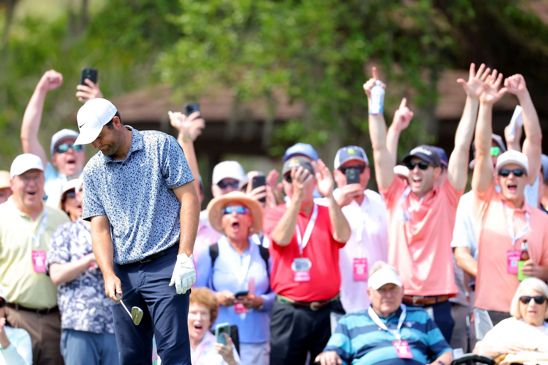 Will Scottie Scheffler Play In Rbc Heritage