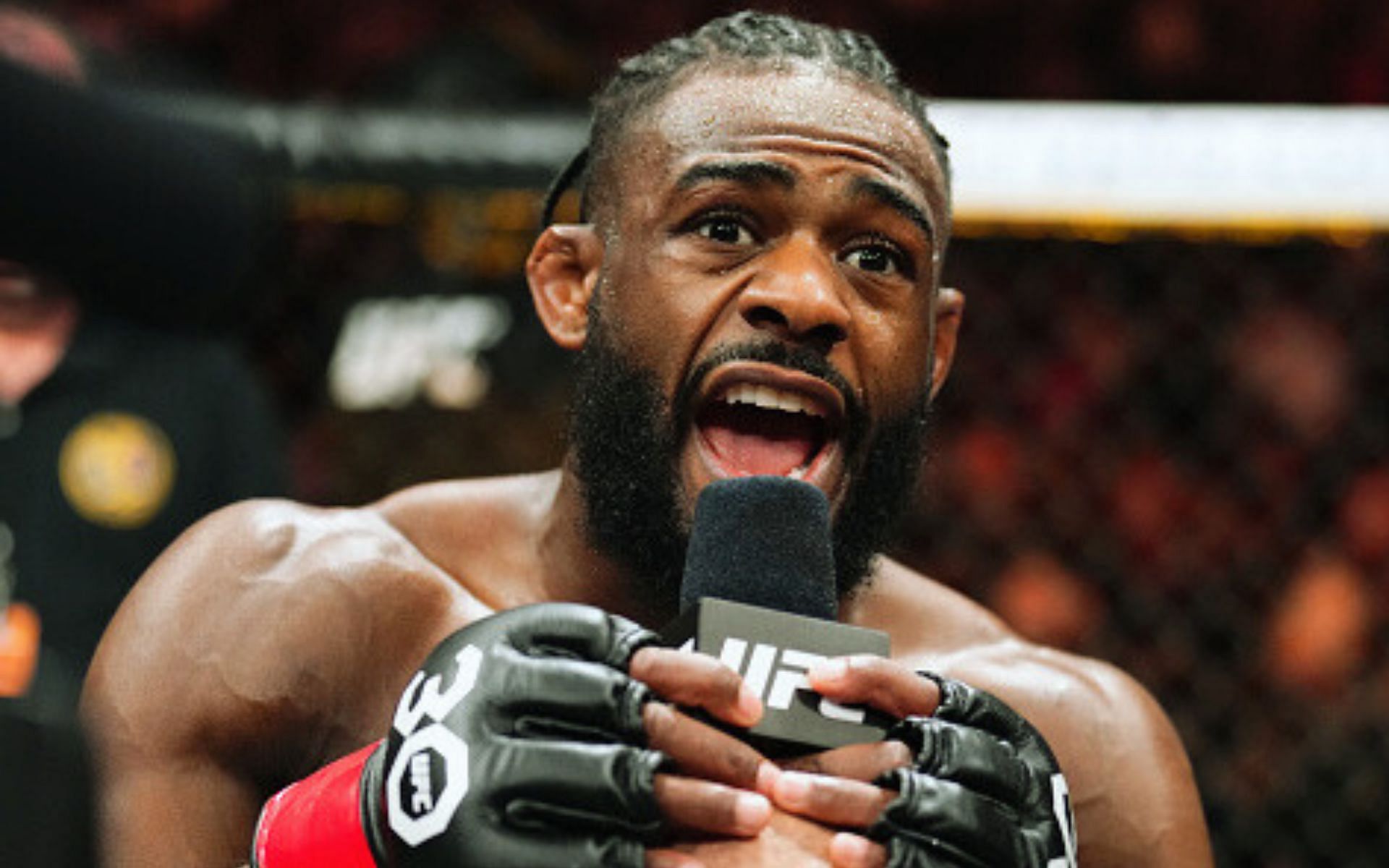 Aljamain Sterling: Undefeated Cage Warriors Champion Puts Aljamain ...