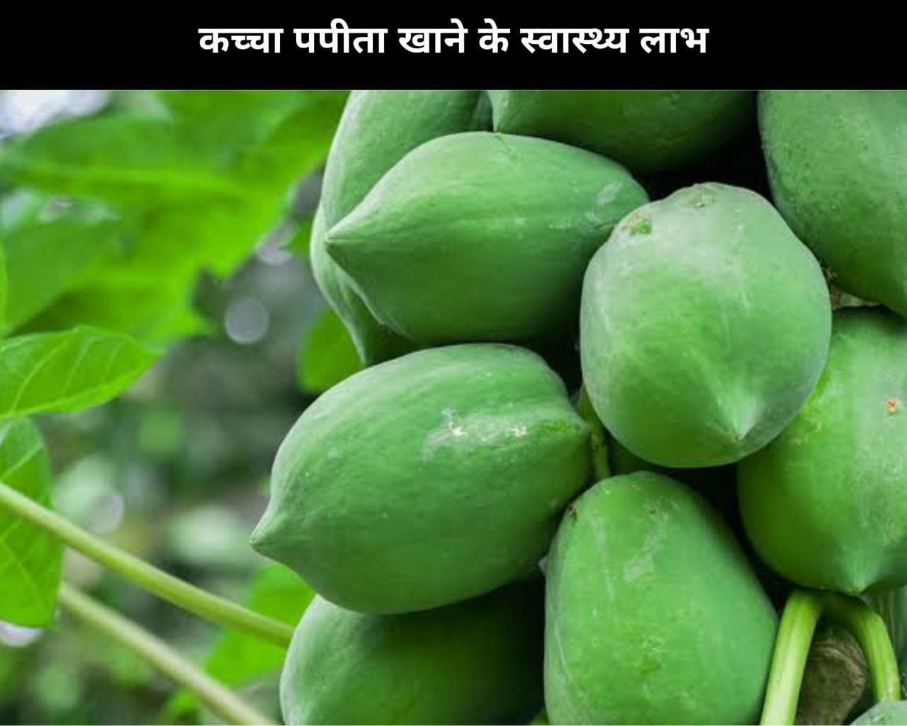 8 Health Benefits Of Eating Raw Papaya In Hindi कच्चा पपीता खाने के 8