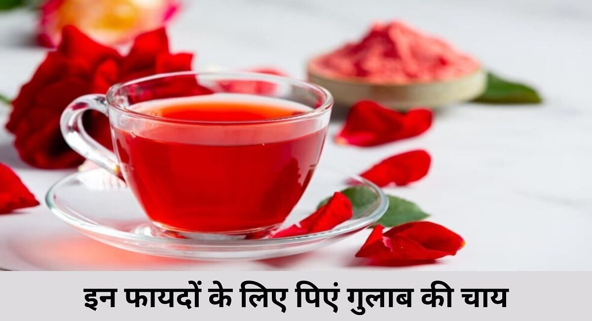 इन फायदों के लिए पिएं गुलाब की चाय(फोटो-Sportskeeda hindi)