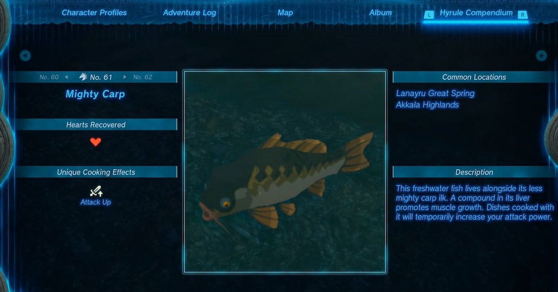 How to get and use the Mighty Carp in The Legend of Zelda Tears of the ...