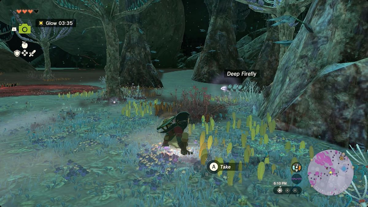 The Legend of Zelda Tears of the Kingdom - Deep Firefly (Hình ảnh qua Nintendo)