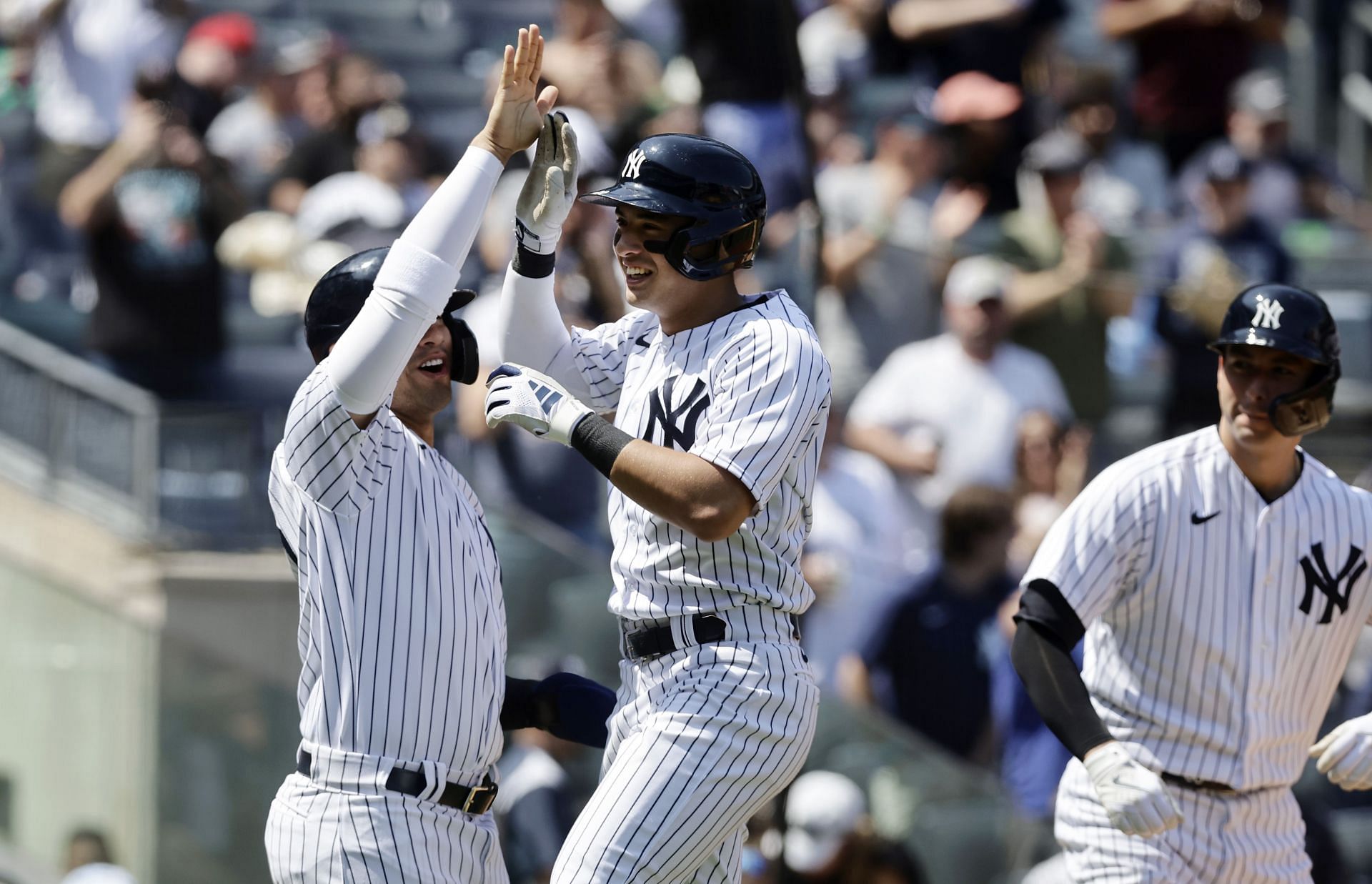 New York Yankees Fans Ecstatic As Anthony Volpe Hits His First Career ...