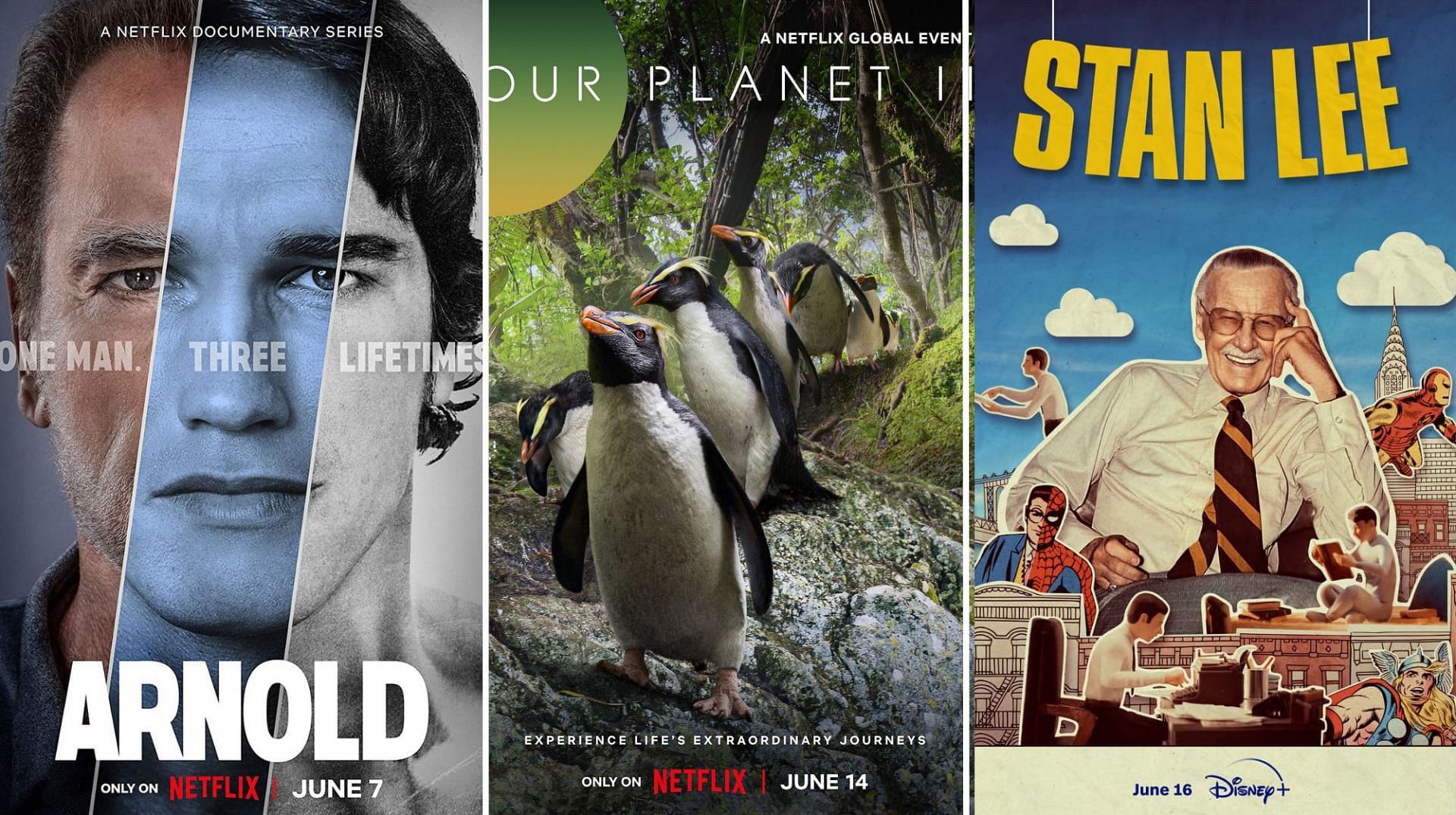 The 5 most interesting documentaries that will be released in June 2023