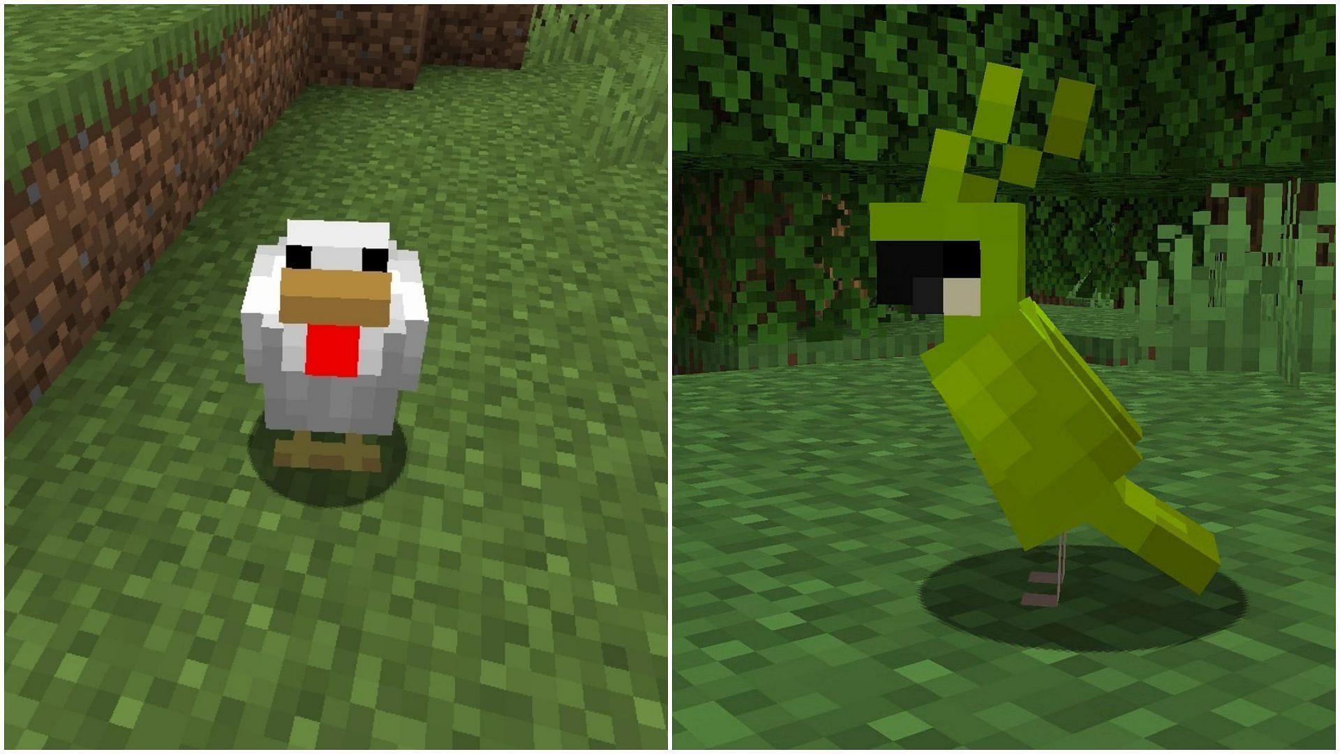 What To Do With Pitcher Pod In Minecraft 1 20 Update what-to-do-with-pitcher-pod-in-minecraft-1-20-update