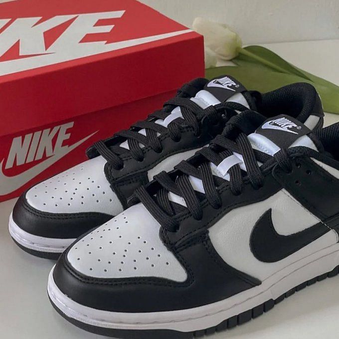 Panda Dunk Low: Restocking date, time, sizes and more details explored