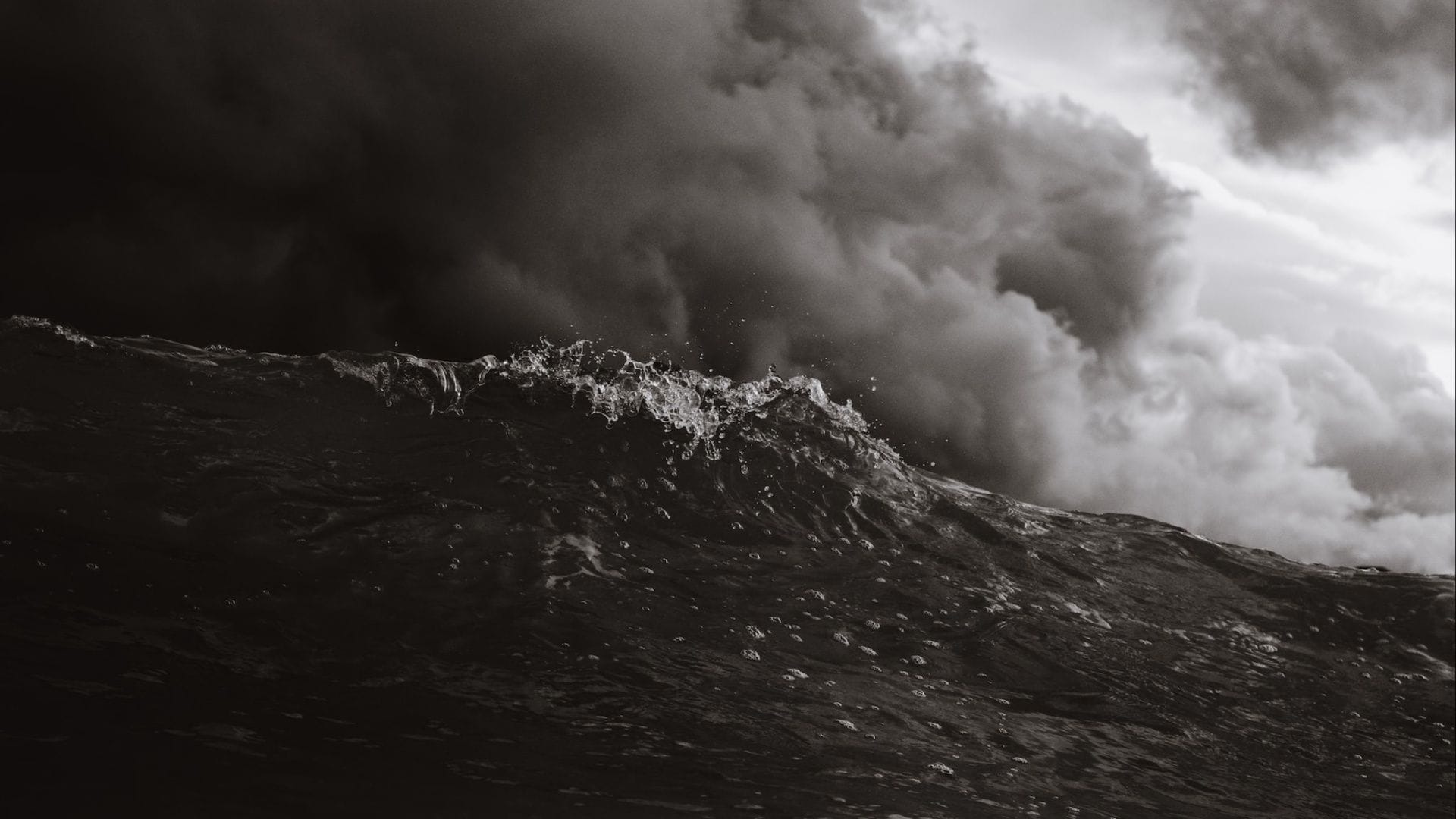 cameron robbins cruise ship