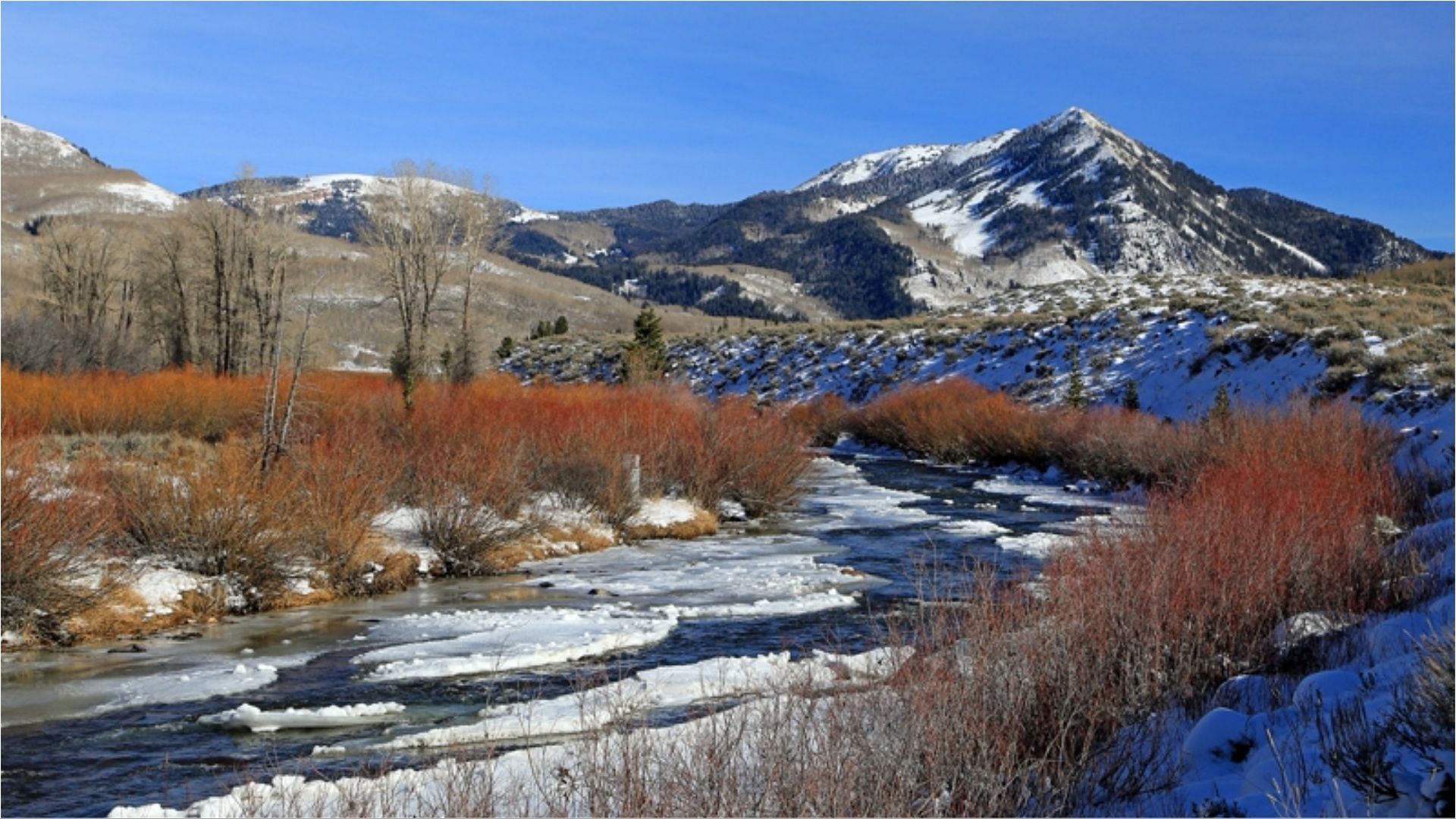 What happened to Libby Stimpson? Utah Weber River incident explored ...