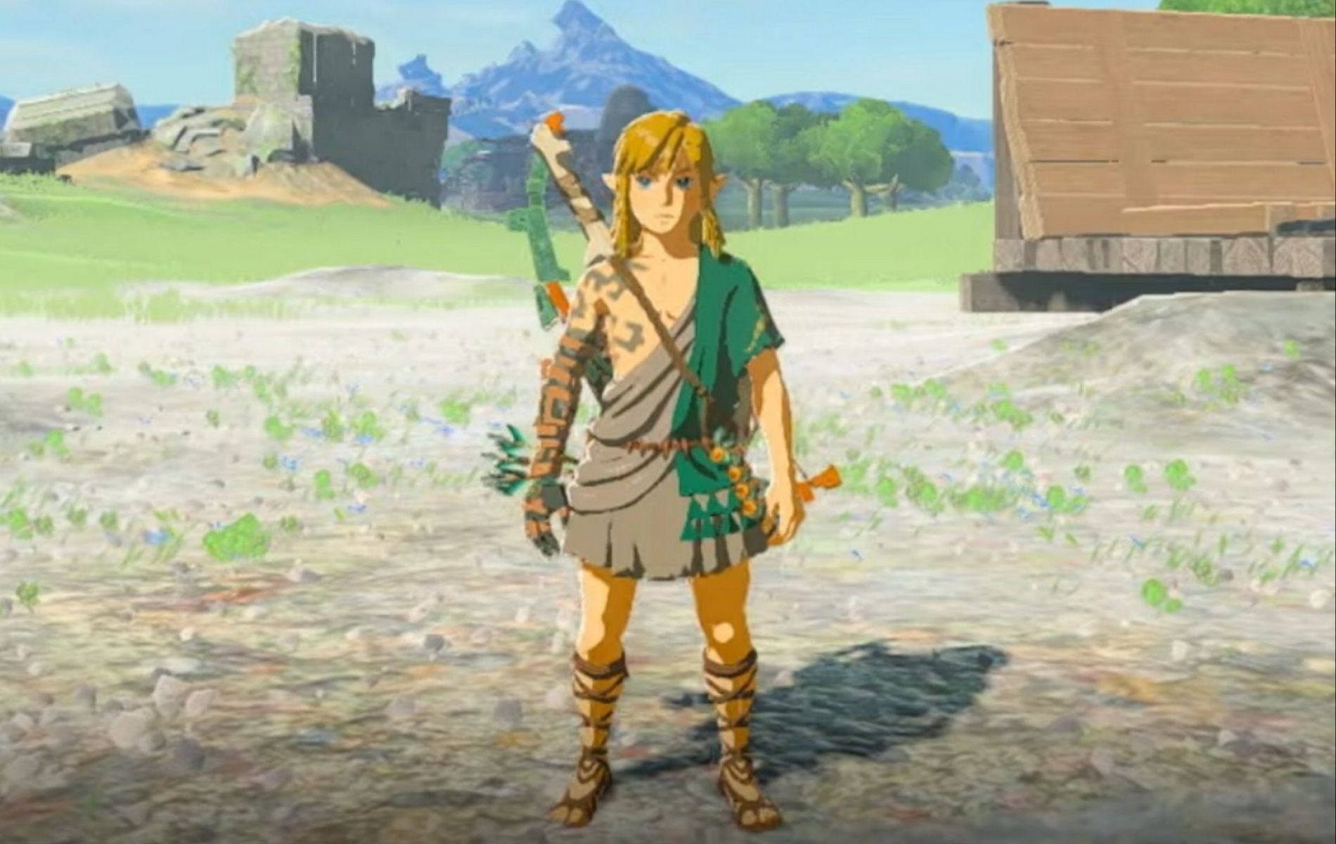 How to access buried treasure chests in The Legend of Zelda Tears of