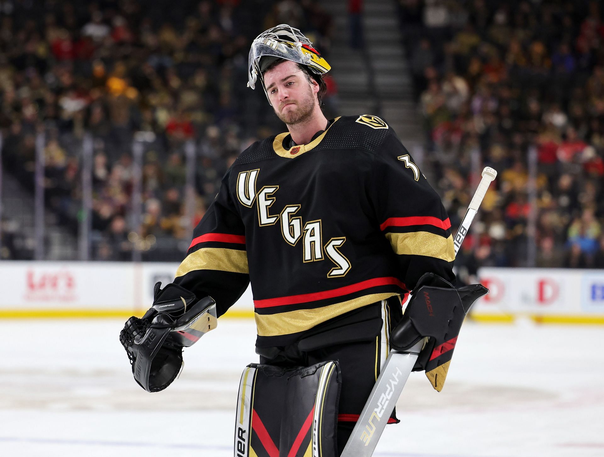 Vegas Golden Knights Injury Report Feat. Jesse McNabb, Logan Thompson ...