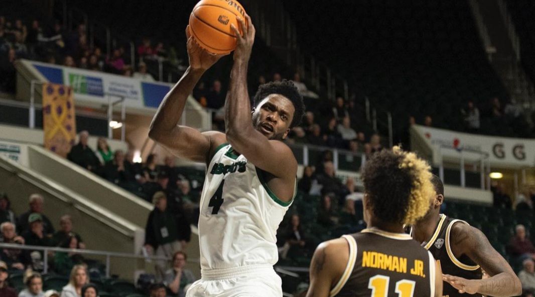 What is Dwight Wilson's Wingspan?