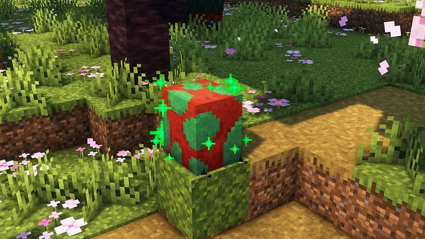 how-to-get-torchflower-and-pitcher-plant-in-minecraft-1-20-update