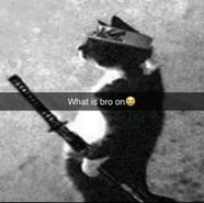 Israel Adesanya Vs Alex Pereira UFC World Blasts Israel Adesanya For Israel Adesanya Vs Alex Pereira UFC World Blasts Israel Adesanya For